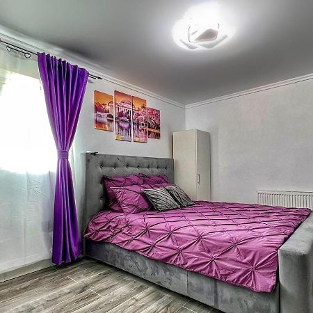 Luxor Ultra-Central Apartments Sibiu Eksteriør billede